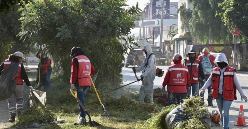 Gobierno de la capital mantiene limpieza y mantenimiento en la avenida Salk
