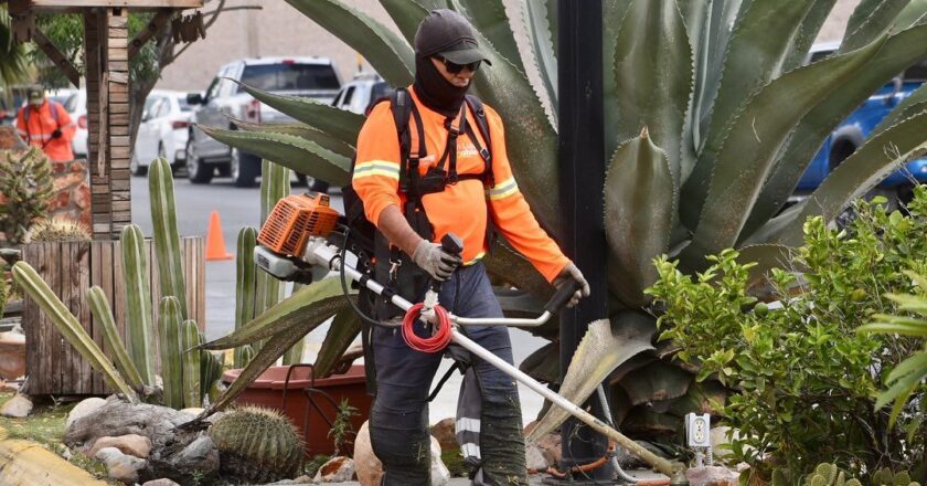 Con el programa Capital al 100 se mejoran espacios públicos en diferentes puntos de la ciudad