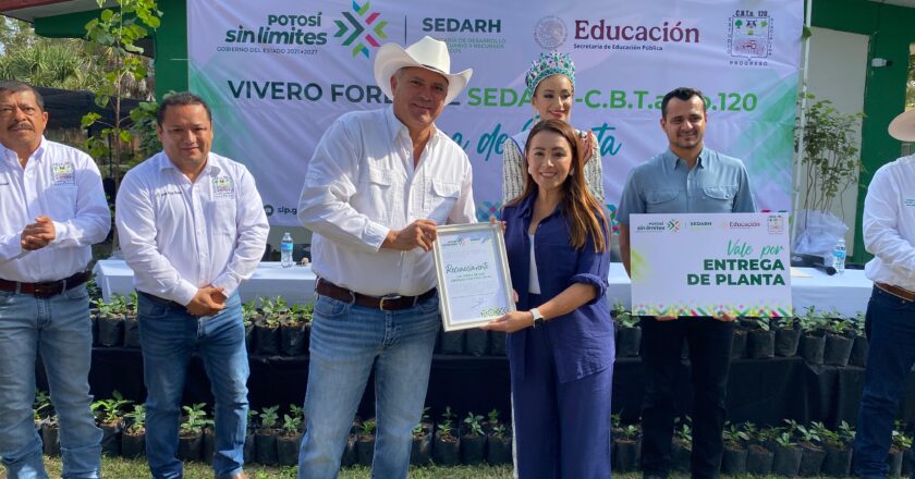 Avanza la producción de café de alta calidad en la Huasteca potosina