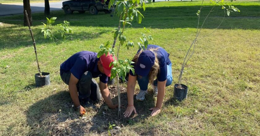 Ecología Municipal de Ciudad Valles atendió más de 530 denuncias ambientales y de protección animal durante 2025