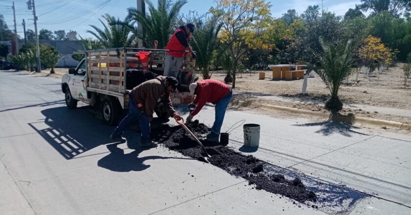 Reportes ciudadanos en el chat de Güicho son atendidos por el Gobierno Municipal