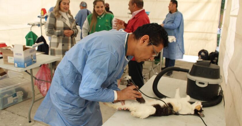 Programa “Visitando Corazones” amplía atención con esterilizaciones de mascotas