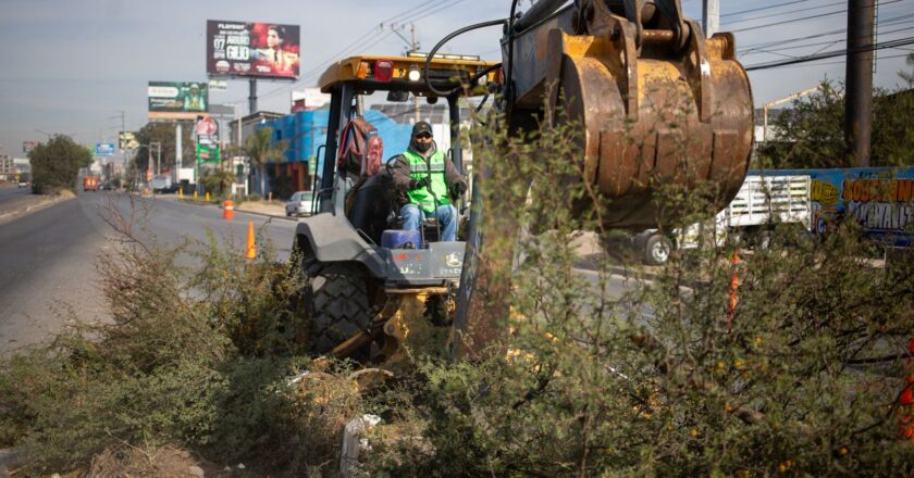 Inician Villa de Pozos y Seduvop limpieza integral en laterales de la carretera 57