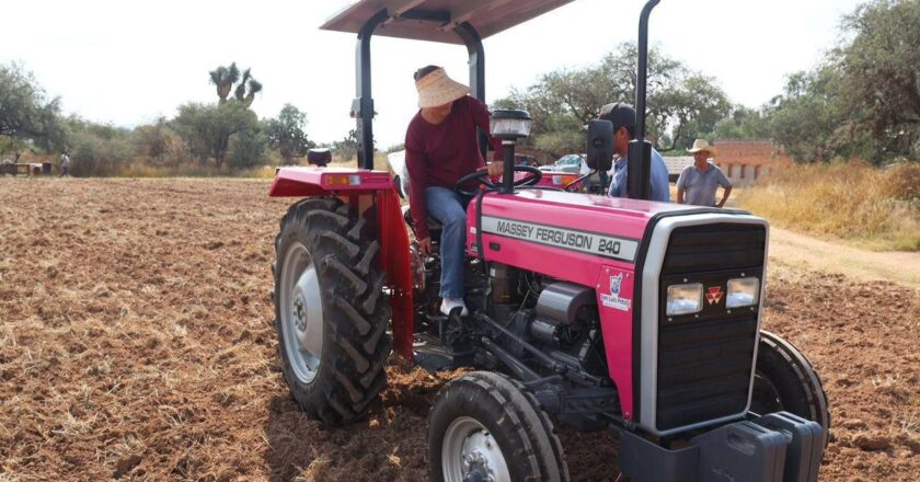 Mujeres fortalecen el campo potosino con apoyo municipal