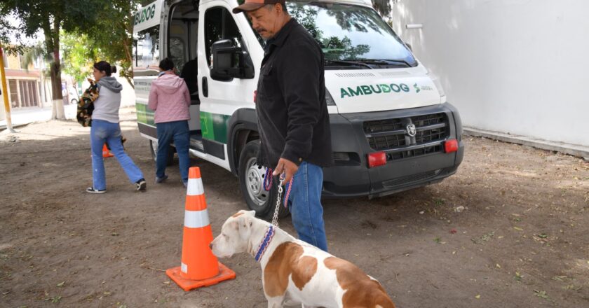 Ambudog mantiene vacunación gratuita y atención veterinaria en Soledad