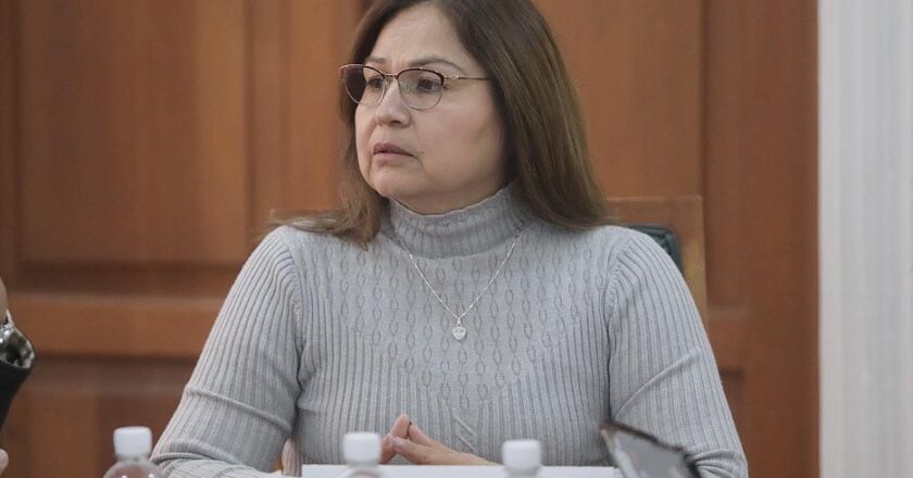 En SLP sí hay condiciones para una alianza PT, Morena y el Verde en 2027: diputada