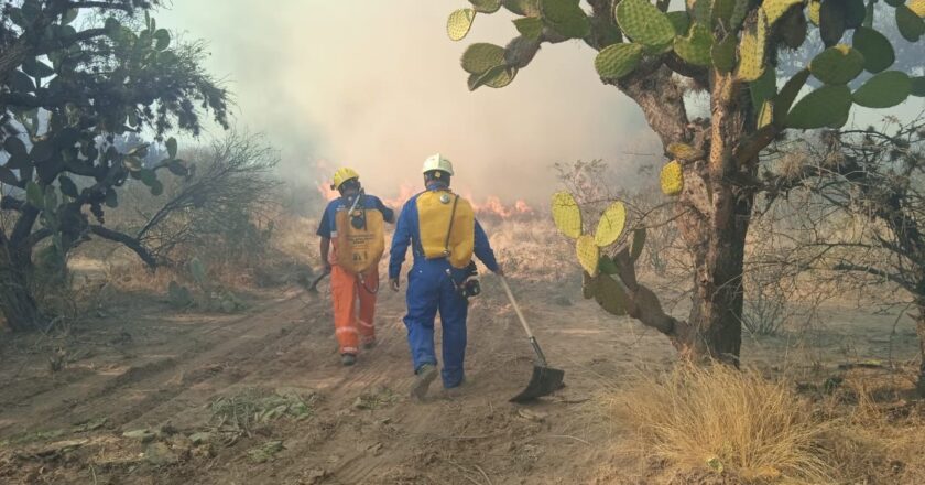 Incendio en Bocas dejó afectación en más de 100 hectáreas
