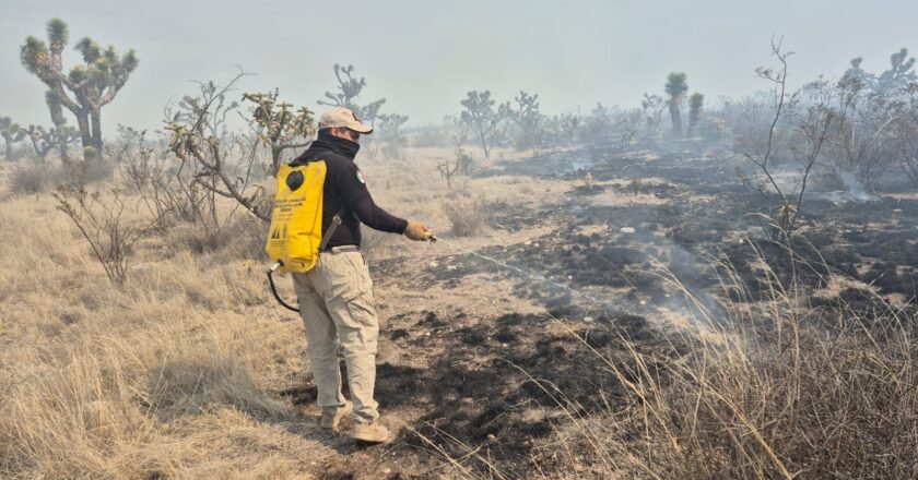 Récord de incendios forestales en San Luis Potosí
