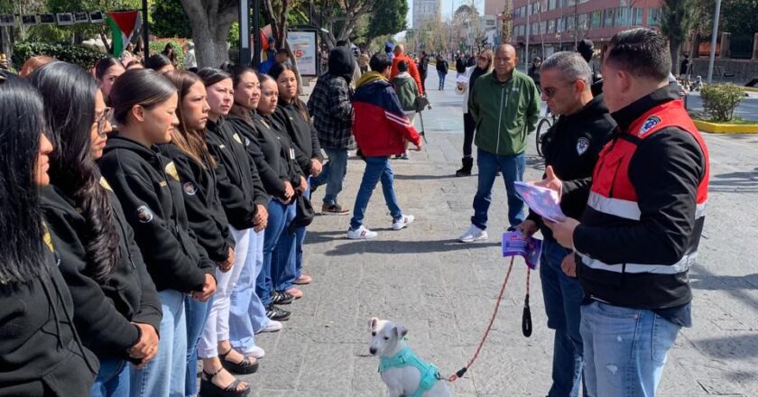 Gobierno de la Capital promueve paseo responsable de animales de compañía