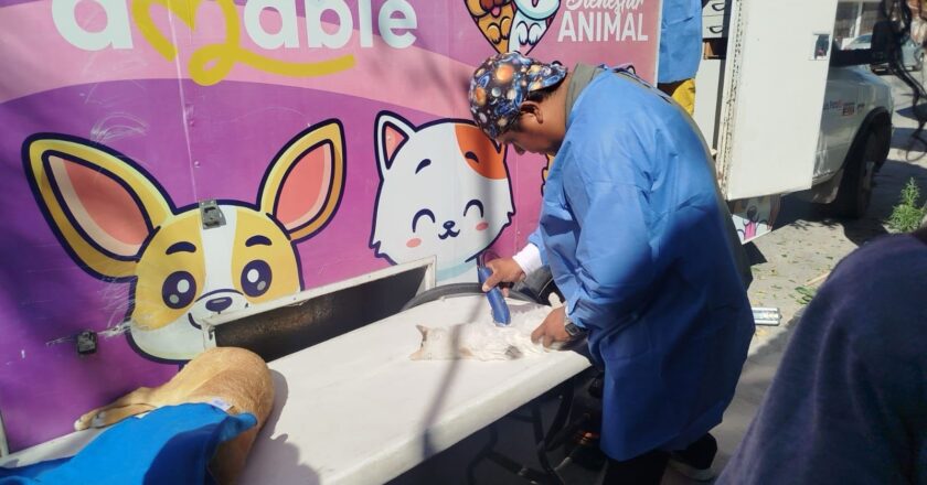 Refuerzan jornadas gratuitas de bienestar animal en colonias de la capital