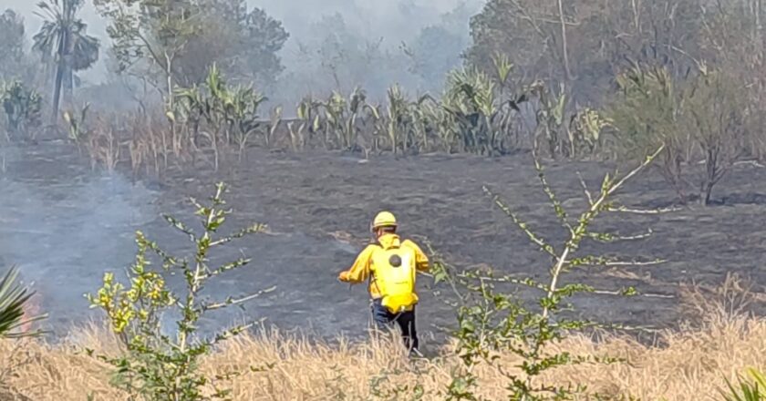 Piden a los Soledenses evitar quema de basura para prevenir incendios