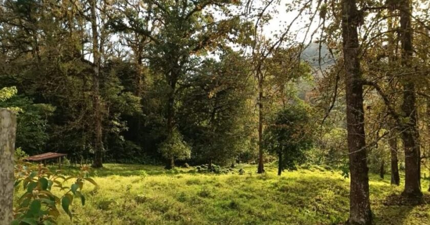Cuatro nuevas Áreas Naturales Protegidas en 2026 proyecta SEGAM