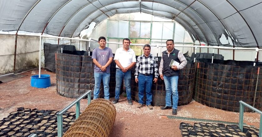 Productores agrícolas y ganaderos recibirán apoyos para el campo