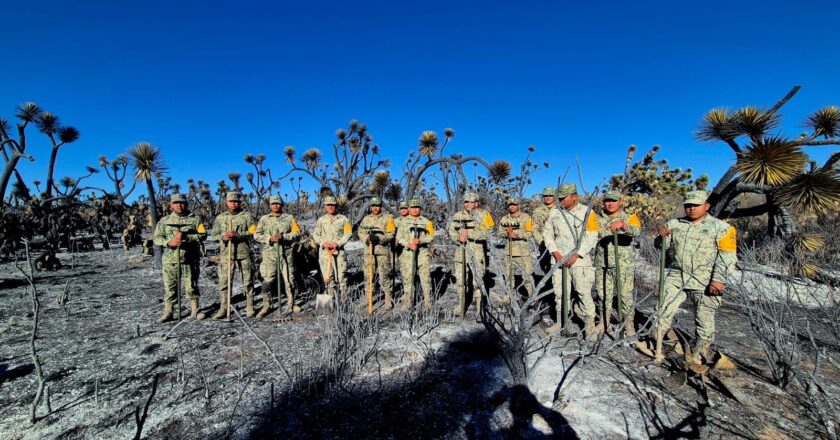 Ejército Mexicano aplicó Plan DN-III E en incendio forestal en Santo Domingo