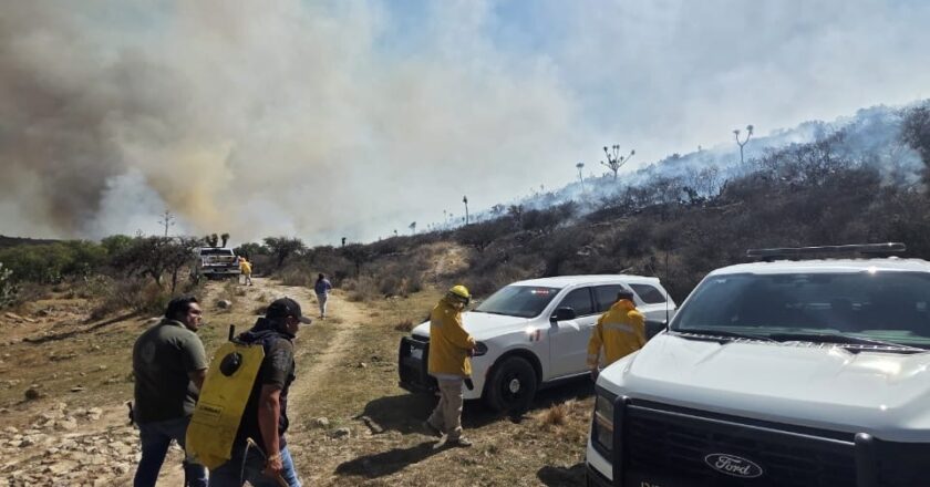 Escuelas en alerta por incendios forestales