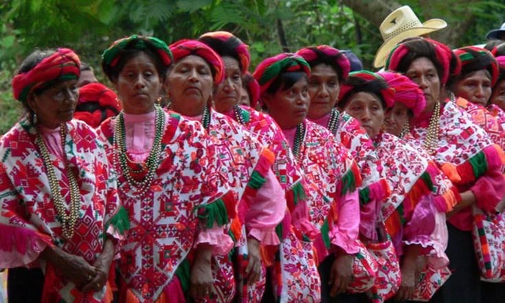 Llaman a fortalecer y preservar las lenguas indígenas en San Luis Potosí