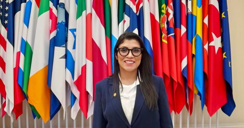 Senadora Vero Rodríguez participó en reunión de la OCDE y plantea atraer inversión para México