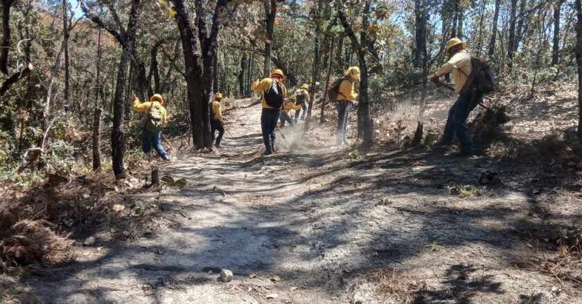 San Luis Potosí en alerta máxima por incendios forestales