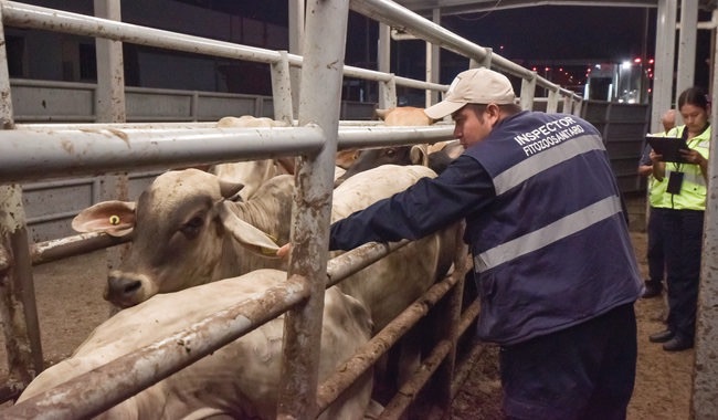 Aprueban inversión de 87.8 millones de pesos para sanidad agropecuaria en San Luis Potosí