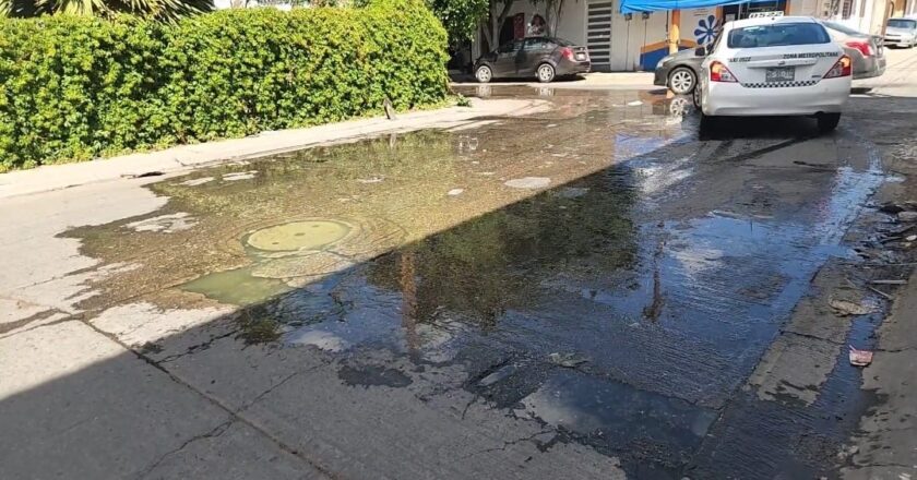 Fuga de aguas negras cumple más de dos años en la Colonia providencia