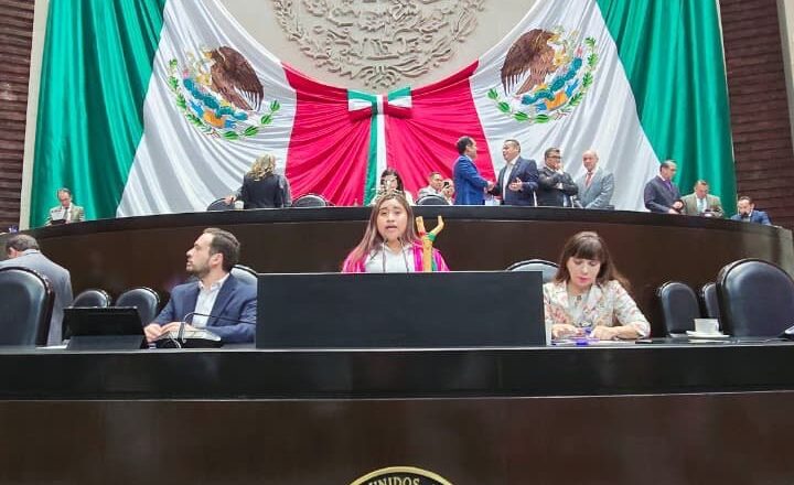 Joven xi’iuy lleva su voz a la Cámara de Diputados y coloca la profesionalización indígena en la agenda nacional