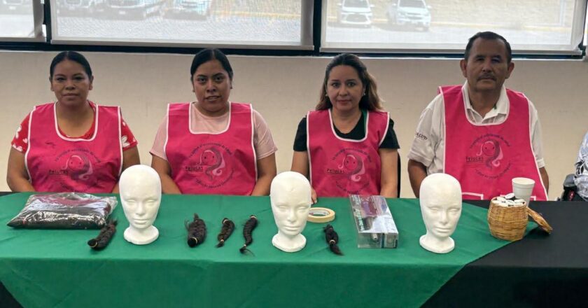 Transformar cabello en esperanza: la labor del taller de pelucas en San Luis Potosí