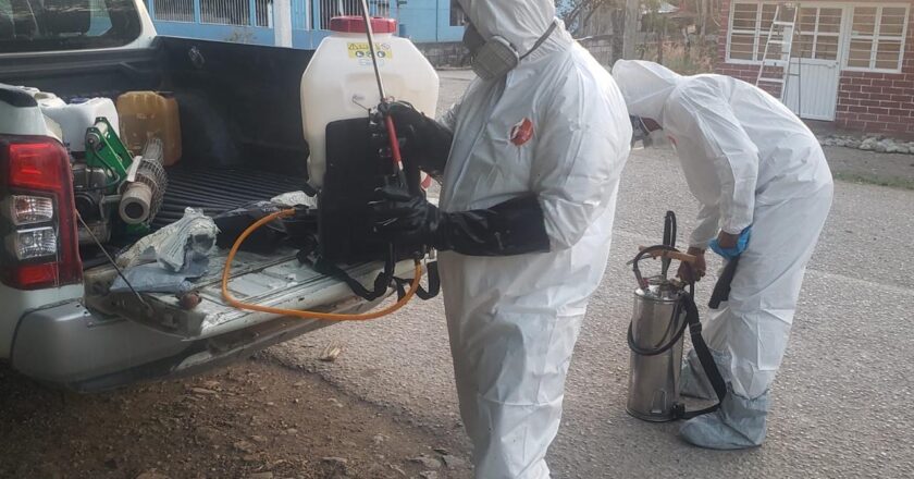 Refuerzan medidas sanitarias para prevenir casos de gusano barrenador en SLP