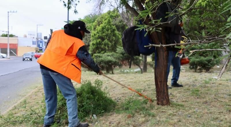 Gobierno de la Capital fortalece limpieza, alumbrado y rescate de espacios públicos en SLP