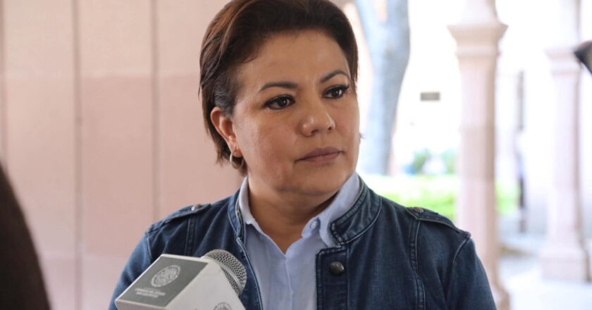 Diputada propone regular uso de redes sociales en menores desde los 12 años en SLP