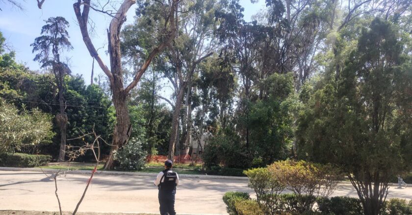 Refuerzan vigilancia en el Parque de Morales; reportan saldo sin incidentes