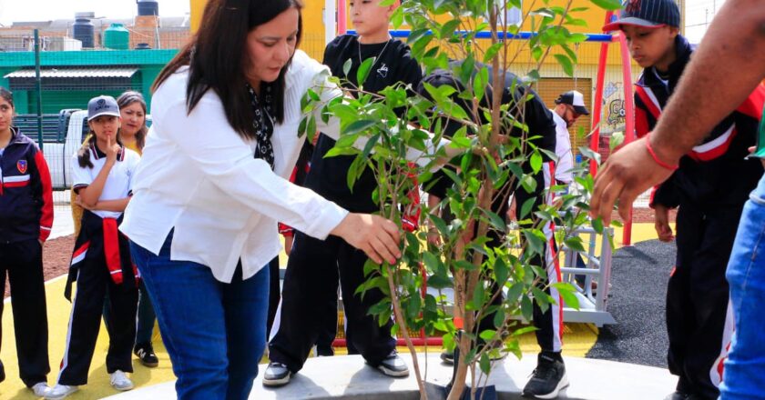 Fortalecen cultura ambiental con jornada de reforestación en Villa de Pozos