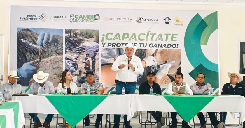 Estado blinda al ganado potosino ante amenaza del gusano barrenador