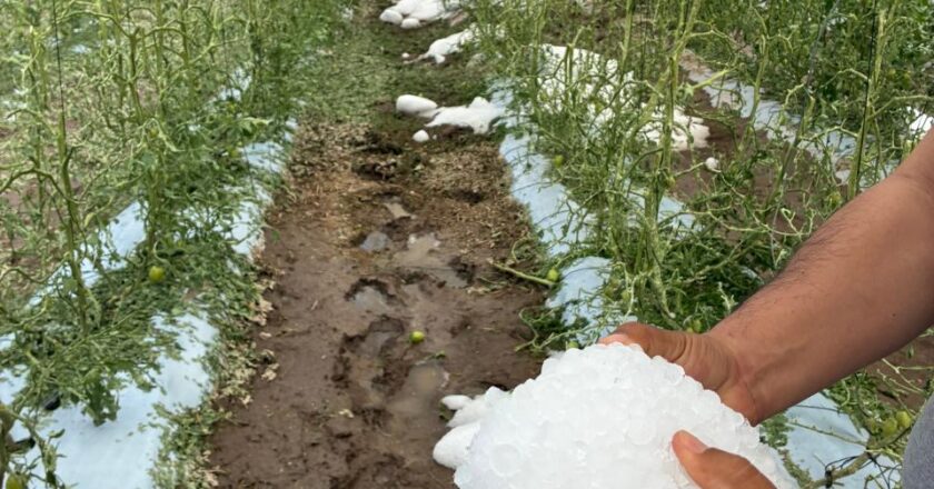 Tromba golpea al campo potosino: pérdidas millonarias y daños en viviendas