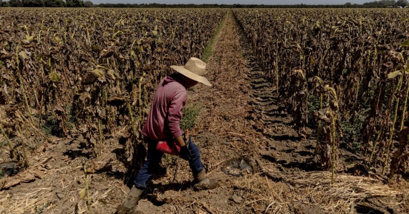 Autoridades refuerzan medidas preventivas ante ola de calor en San Luis Potosí