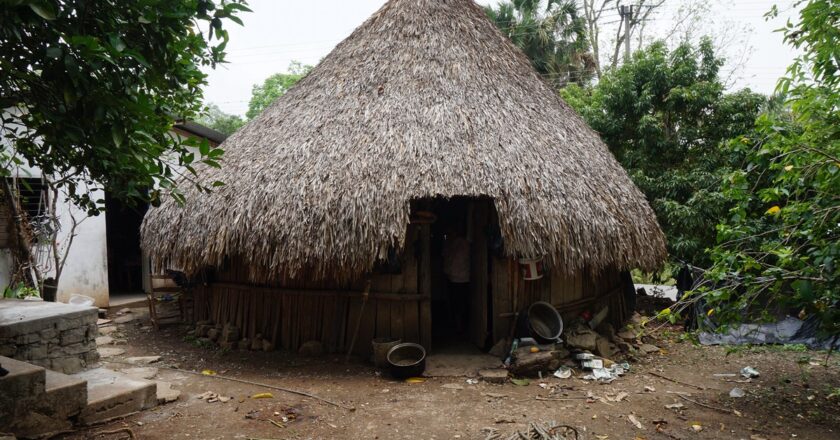 UASLP documenta la transformación de la vivienda tradicional Huasteca