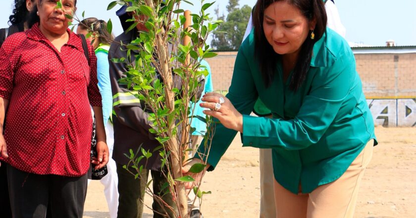 Villa de Pozos impulsa reforestación y limpieza comunitaria en Praderas del Real