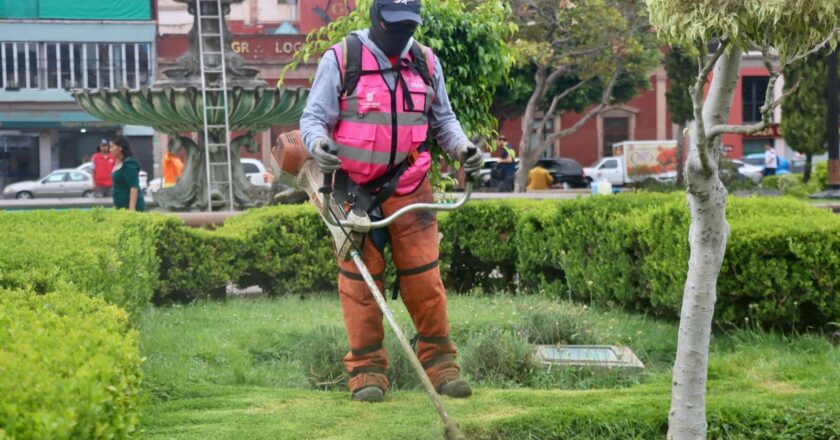 Gobierno de la Capital refuerza mantenimiento en plazas y jardines públicos