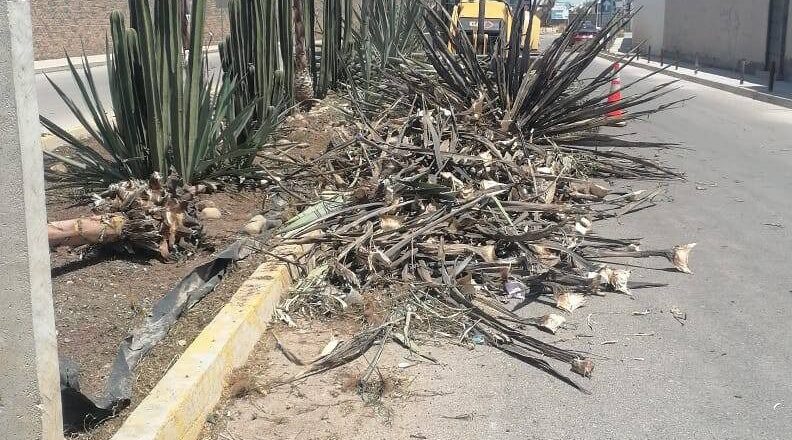 Villa de Pozos mantiene acciones de limpieza y recuperación de espacios públicos en Las Mercedes