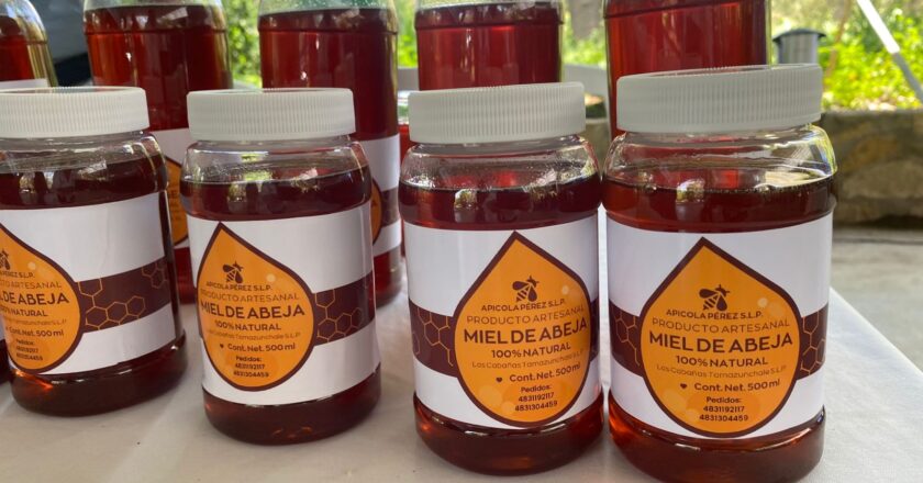 Gobierno Estatal impulsa protección de abejas y apoyo a productores en la Huasteca