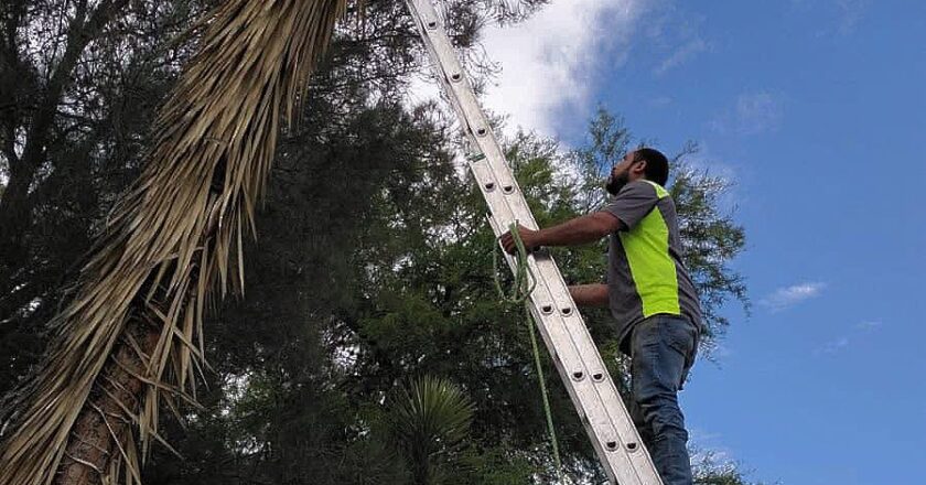 La dirección de ecología del municipio Matehuala mantiene acciones preventivas tras recientes lluvias