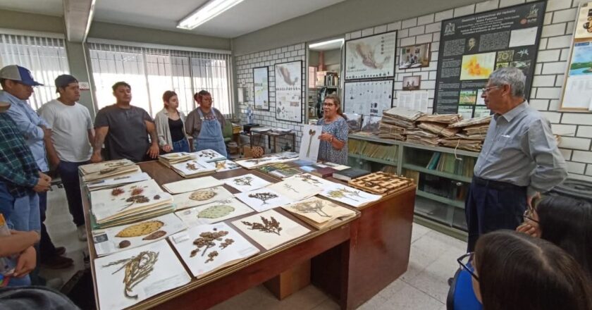 Herbario de la UASLP resguarda más de 70 años de riqueza vegetal y patrimonio científico