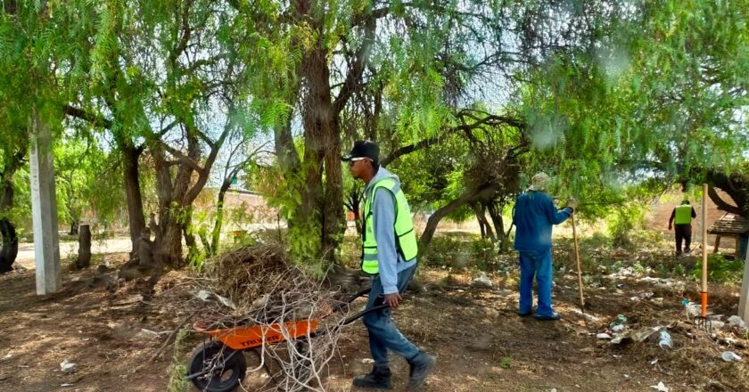 Ayuntamiento de Villa de Pozos realiza jornadas de limpieza en San Nicolás de Jassos y Palmeral