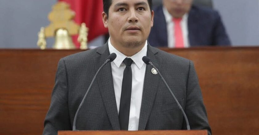 80 por ciento de los ayuntamientos desconocen la Ley Animal en SLP: diputado