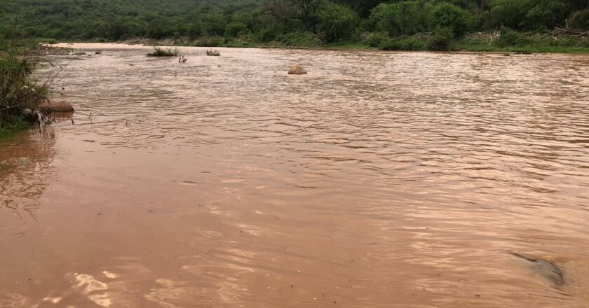Desechos de minera provocan ecocidio en río Santa Catarina, denuncia colectivo