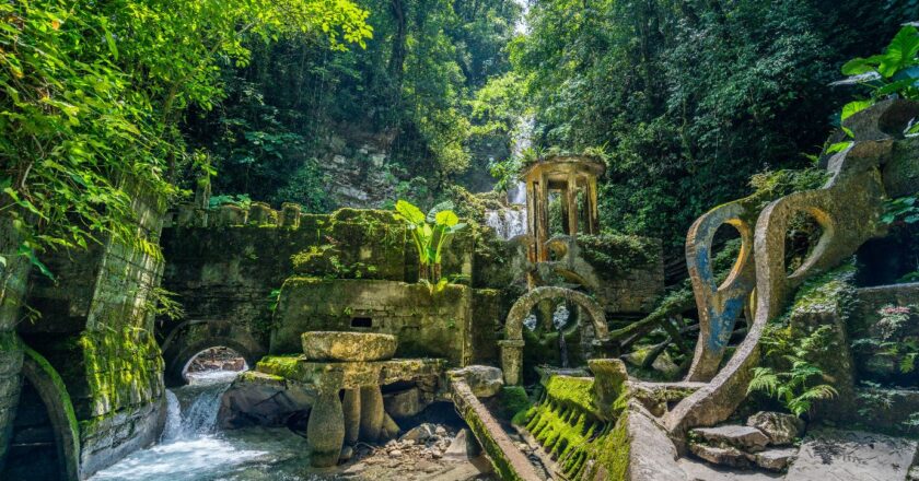 Día Mundial del Medio Ambiente: la naturaleza como aliada frente al cambio climático