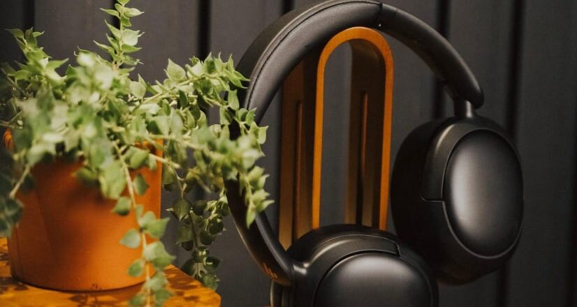 Jalil Cervantes, el potosino que traduce la electricidad de las plantas en música