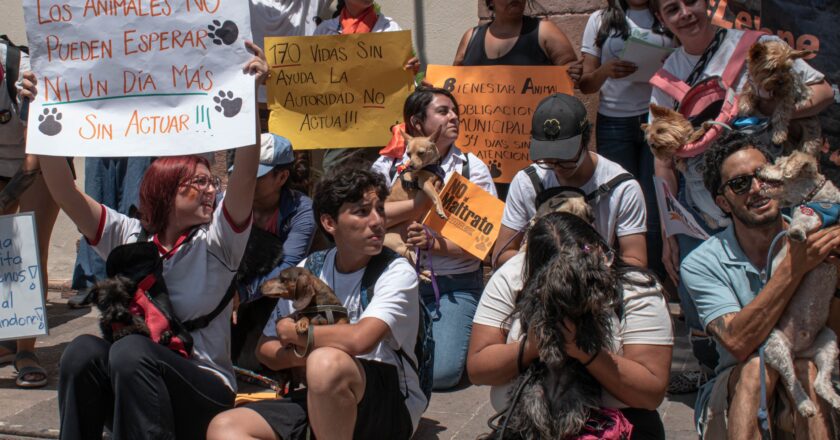 Presunto asesino de Laika y Solovino podría quedar en libertad gracias a un amparo