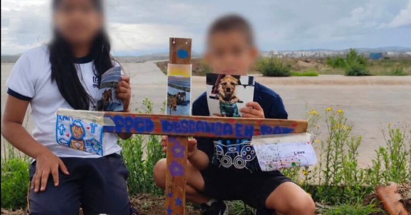 Vecinos en Villa Magna Norte denuncian atropello de perros por exceso de velocidad