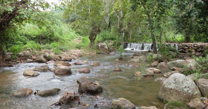 Refuerzan la protección de la principal reserva natural de Rioverde