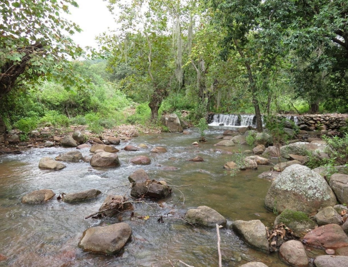 Refuerzan la protección de la principal reserva natural de Rioverde